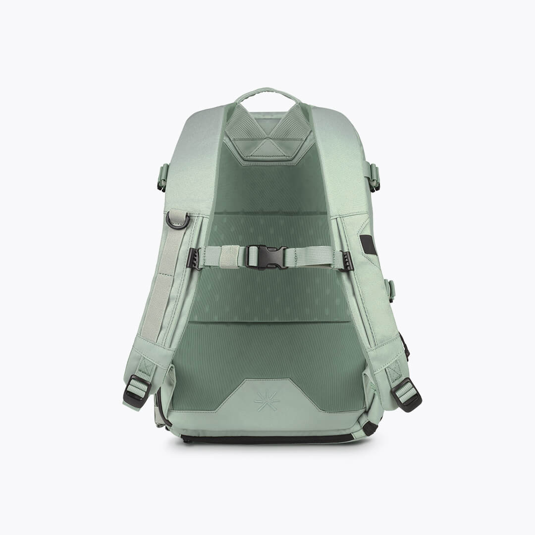 Nest Desert Green